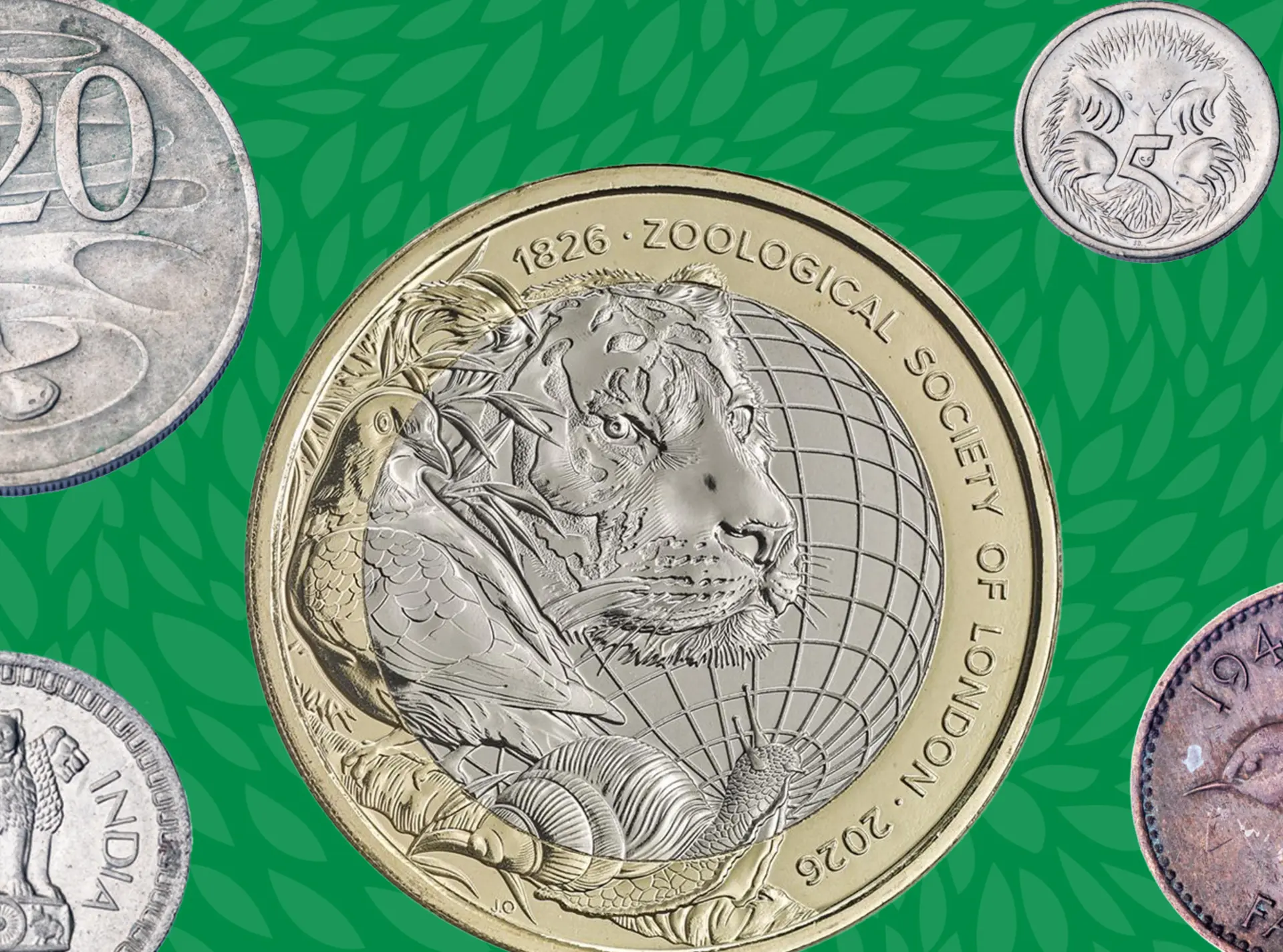 A selection of animal-based coins