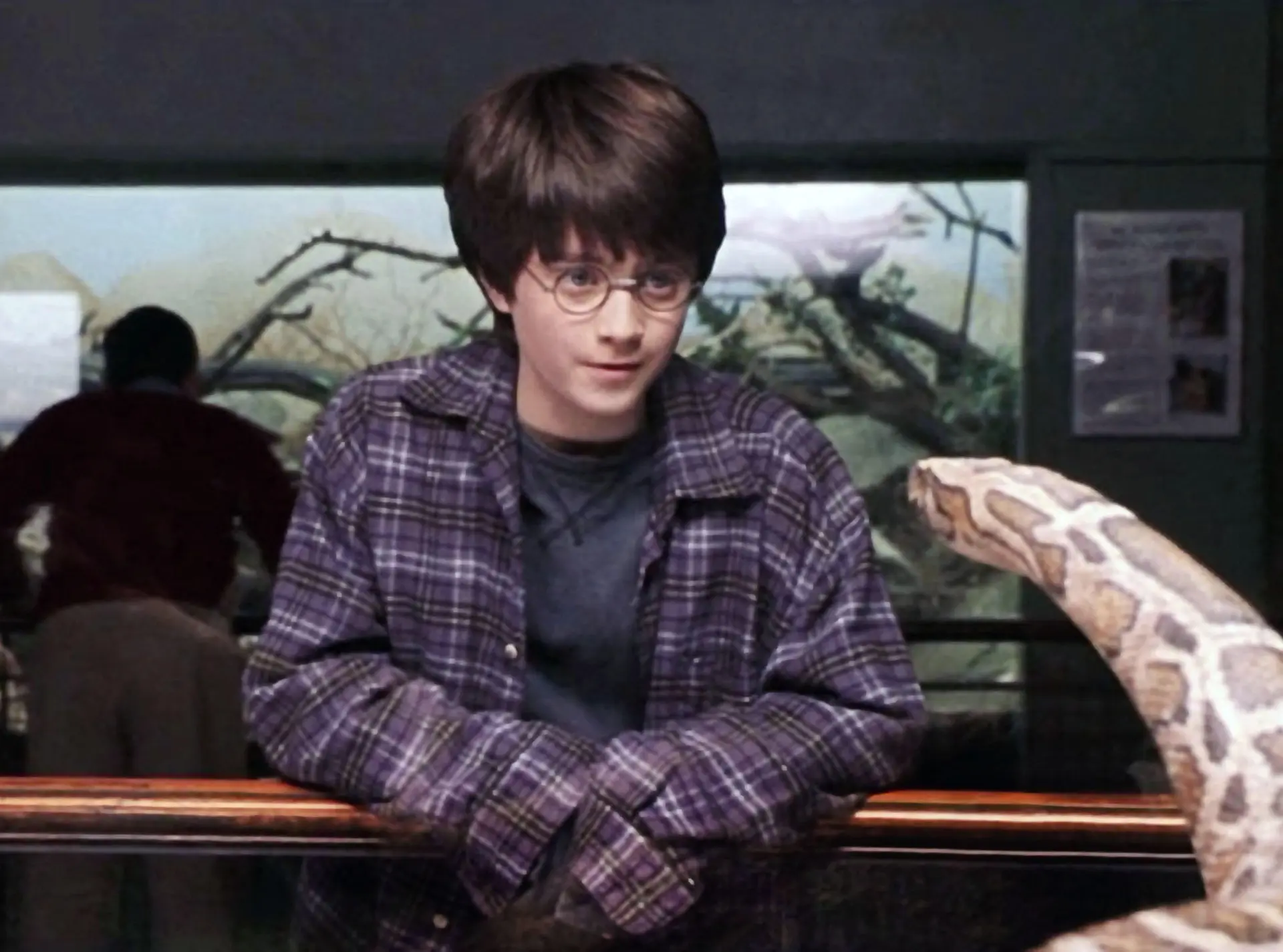 Harry Potter and the Philosopher's Stone