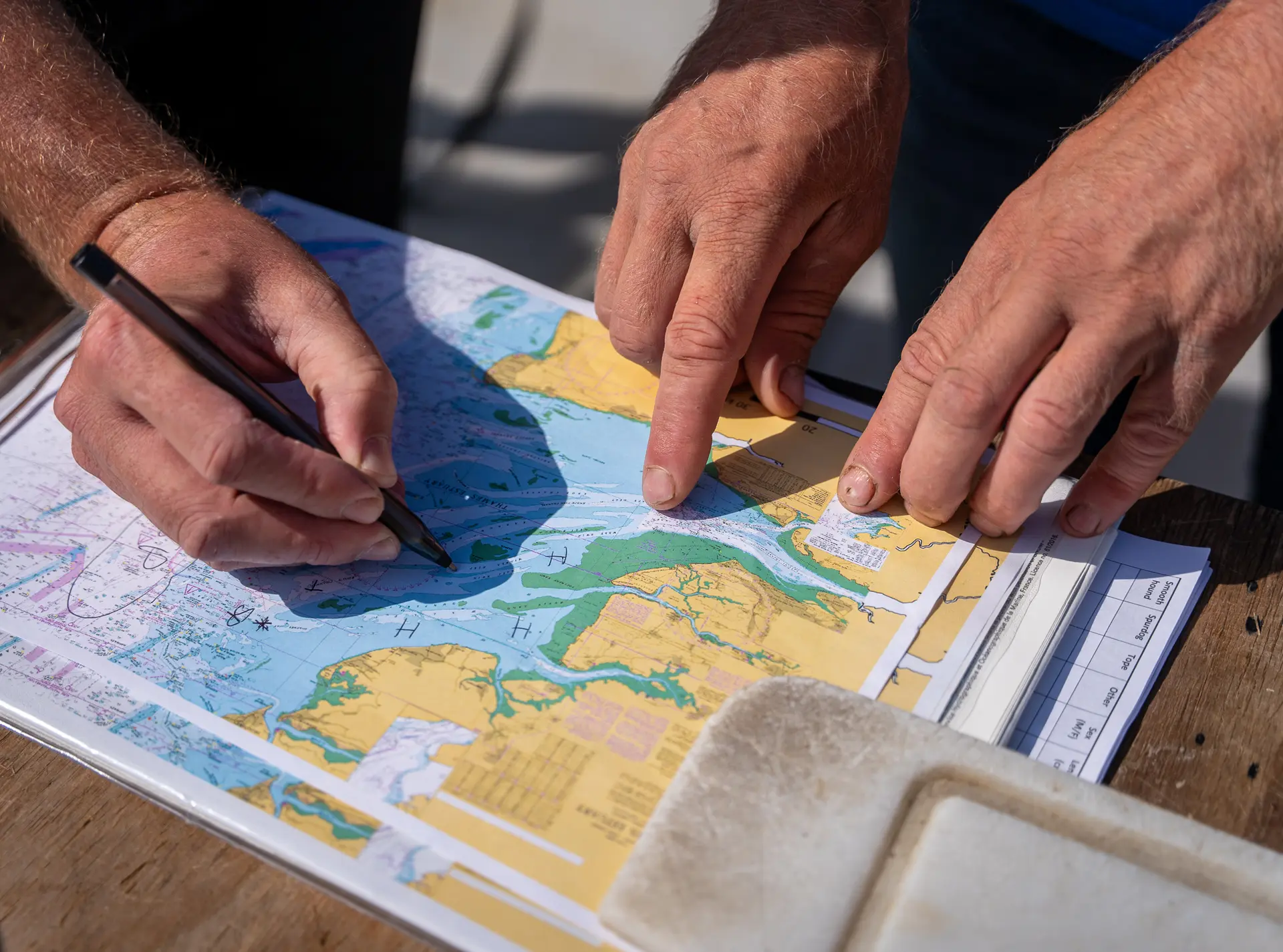 Hands pointing to locations of where to find target species in Greater Thames Estuary