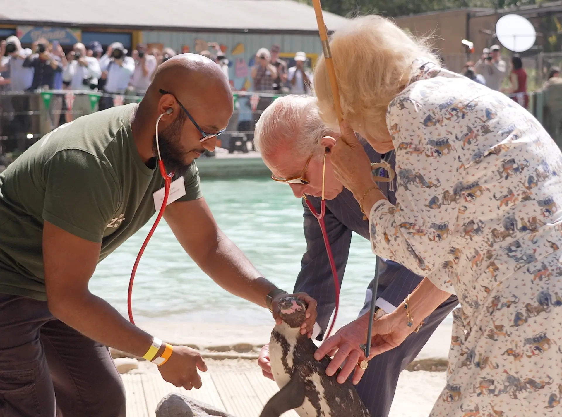 Stefan and HRM perform health check on Lannister the Penguin on penguin beach