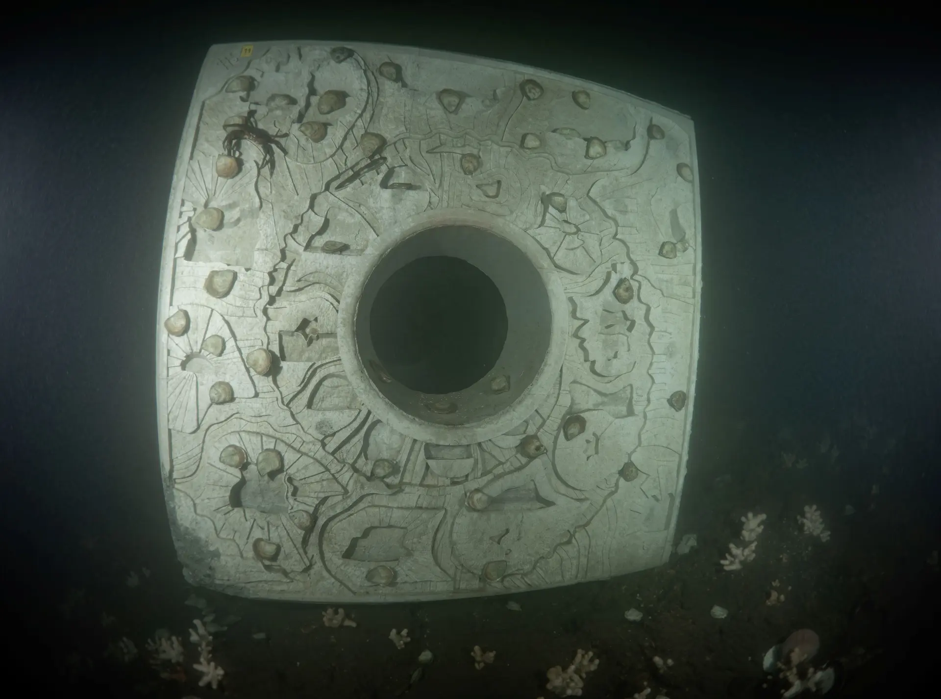 Oyster Reef Cube underwater