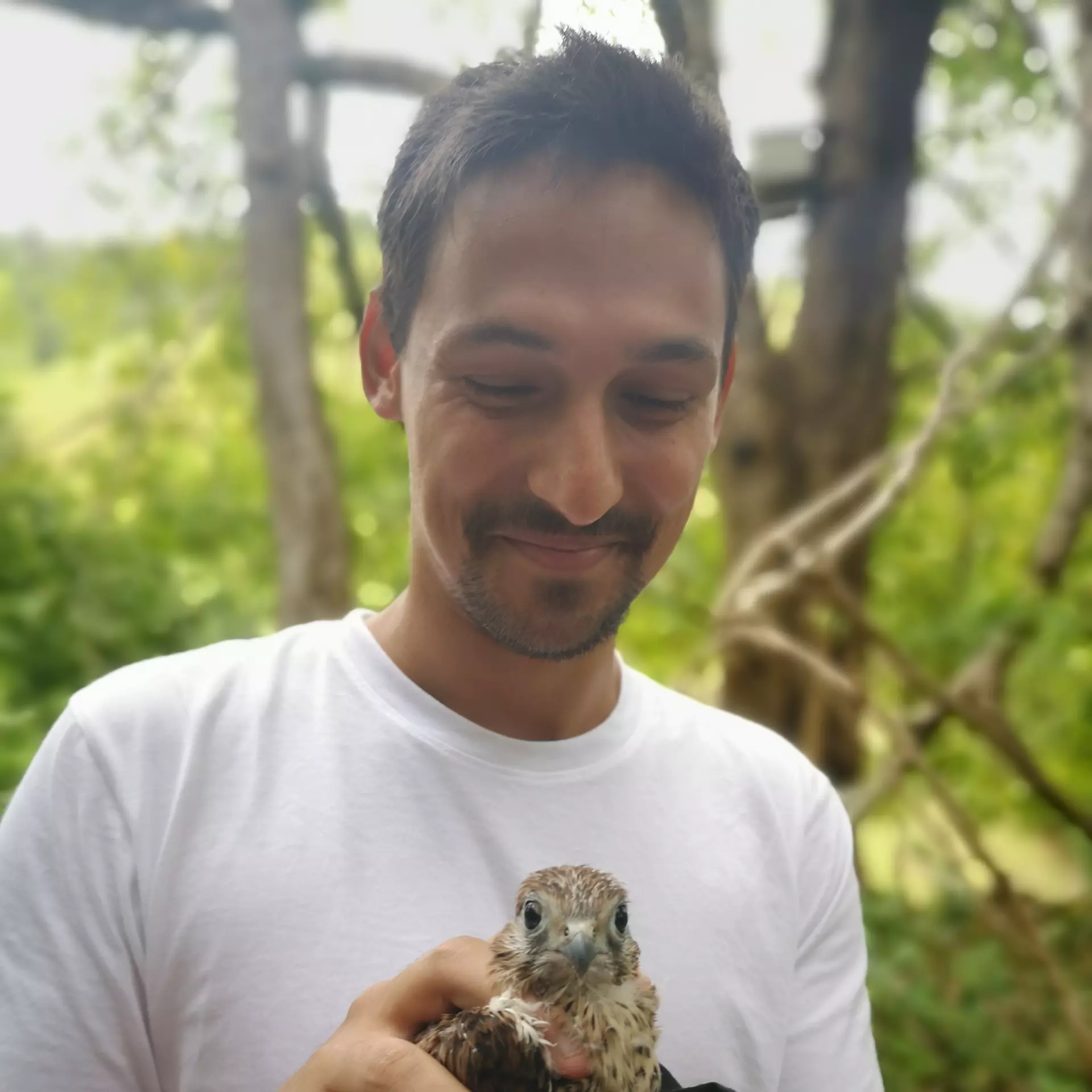 Adrien Gelle holding Mauritius kestrel