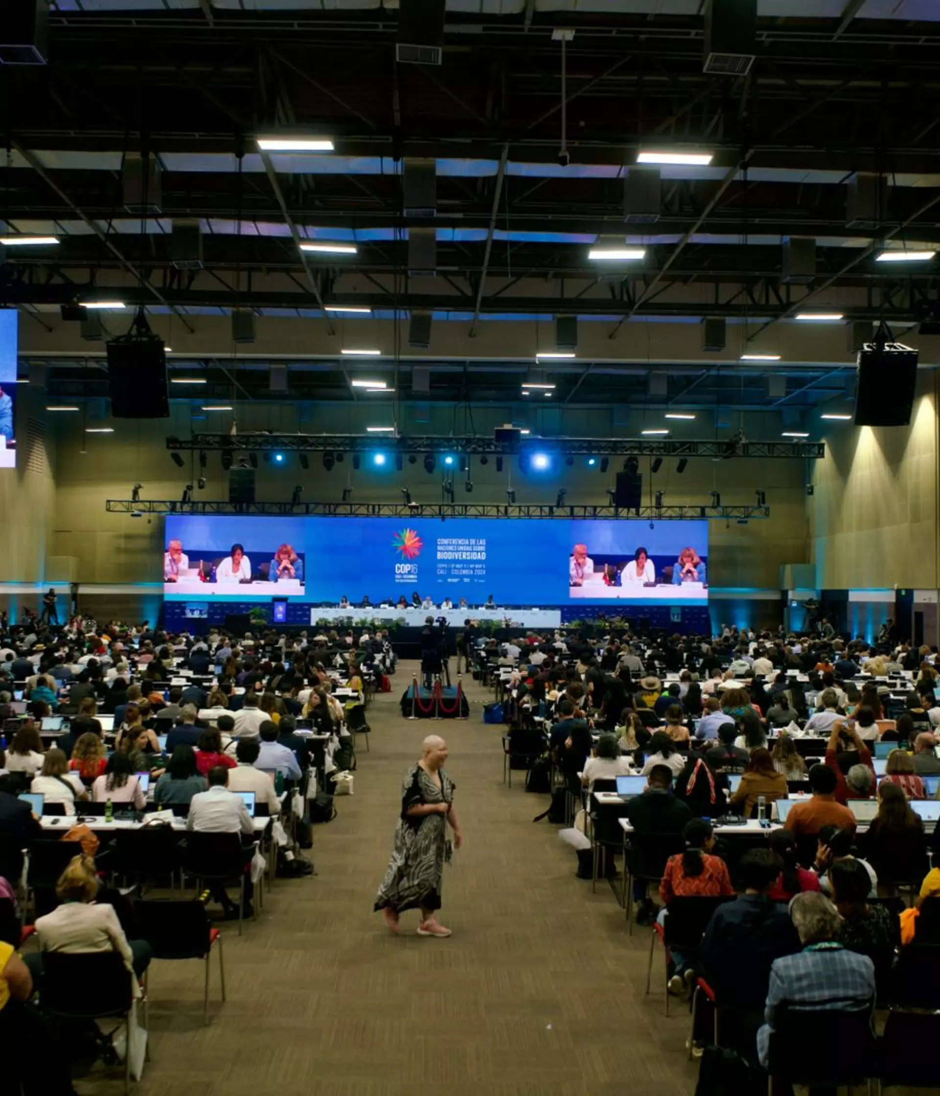 CBD COP16 negotiations ran out of time, but action on biodiversity loss ...