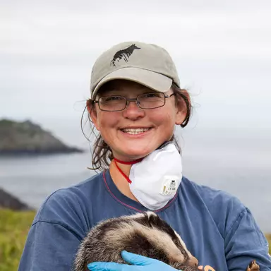 Rosie Woodroffe with an anaesthetised badger cub
