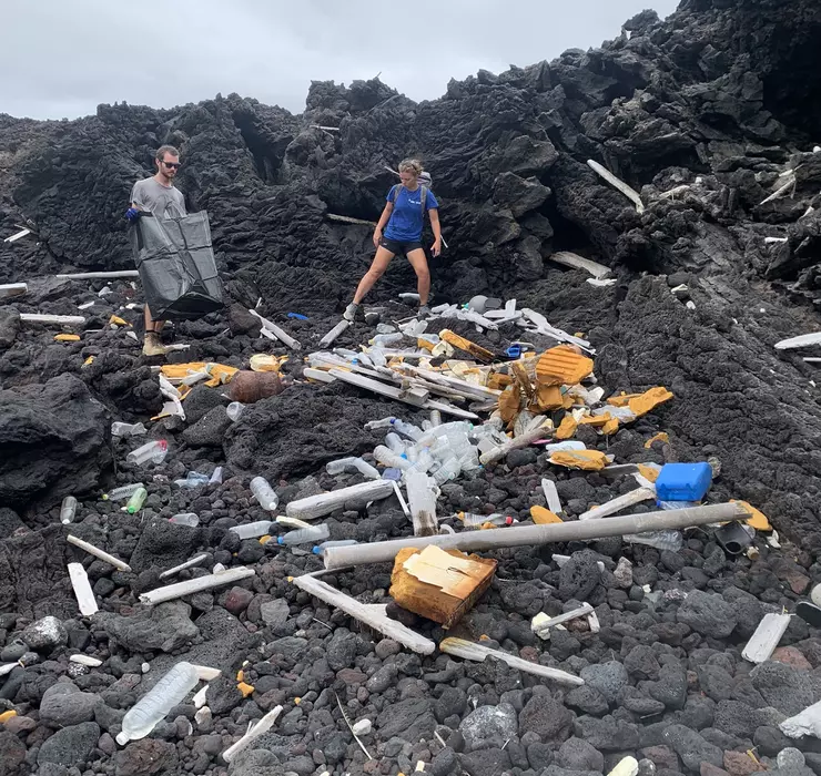 https://cms.zsl.org/sites/default/files/styles/responsive/public/740/700/1/2023-06/ZSL%20Team%20collecting%20marine%20debris%20on%20beach.jpeg