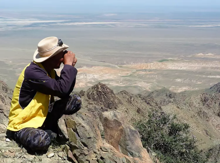 ZSL conservationist looking out with binoculars across Mongolian steppe plains