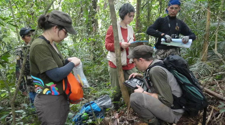 A group of people Setting up camera traps in Khlong Nakha Wildlife Sanctuary