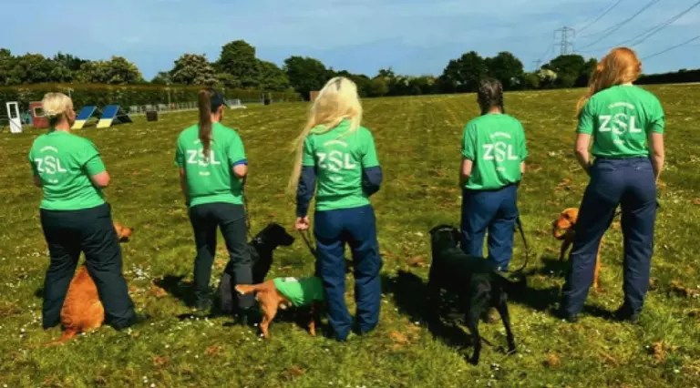 Dog walkers with their ZSL t-shirts