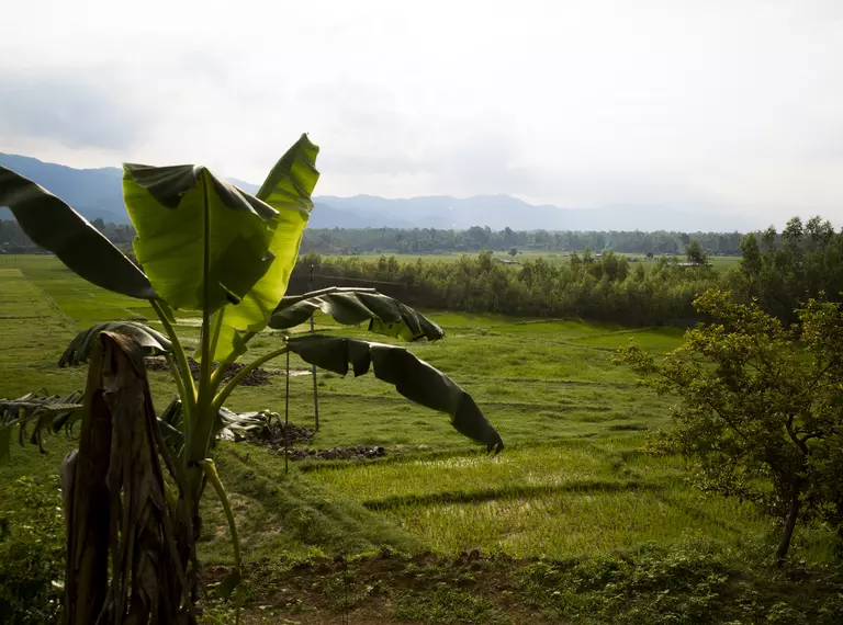 Nepal landscape