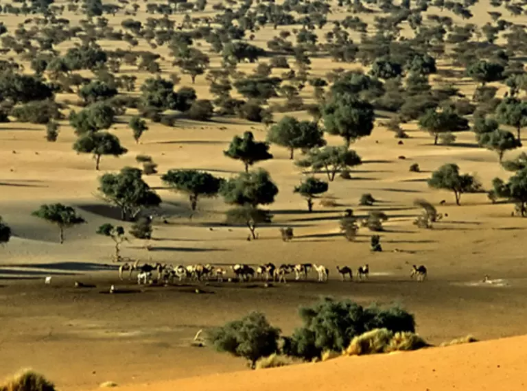 Termit Tin Toumma, Niger landscape