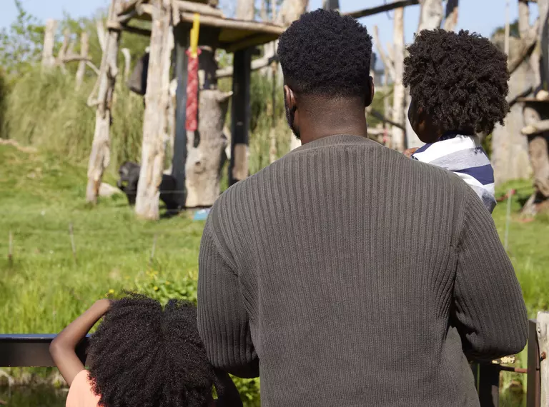 Father_with_two_children_observing_gorillas_at_london_zoo