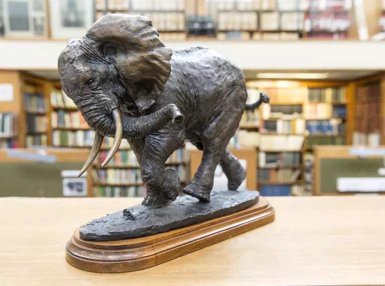 elephant_artefact_library