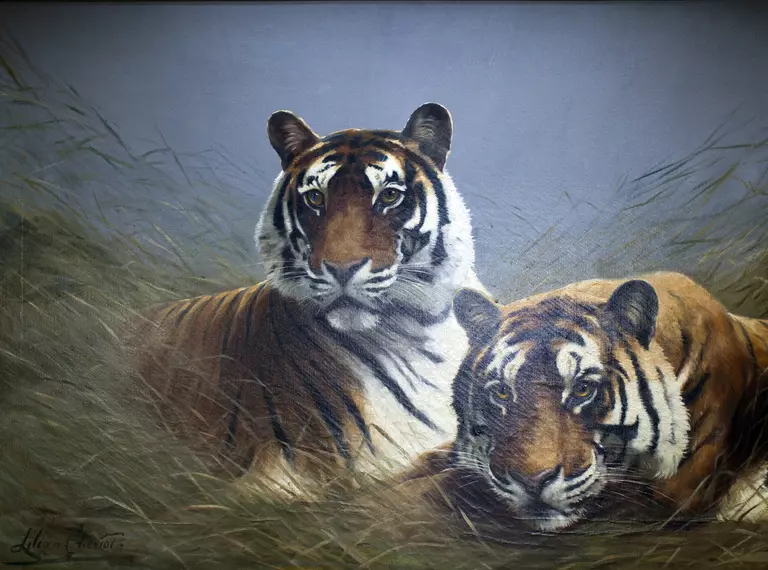 Tiger painting