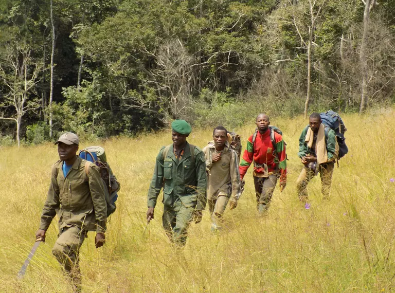 ZSL anti-poaching patrol in Dja reserve Cameroon