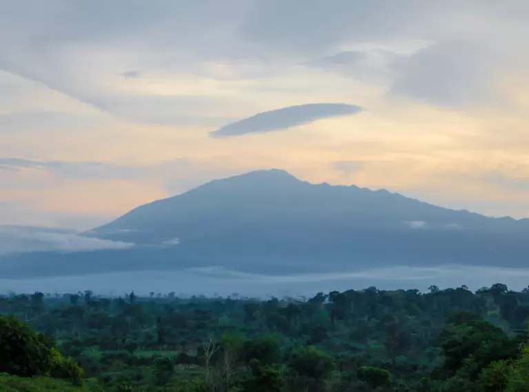 Cameroon forest skyline with mountain in background