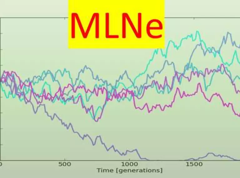 MLNe software screenshot