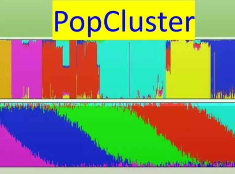 PopCluster software screenshot