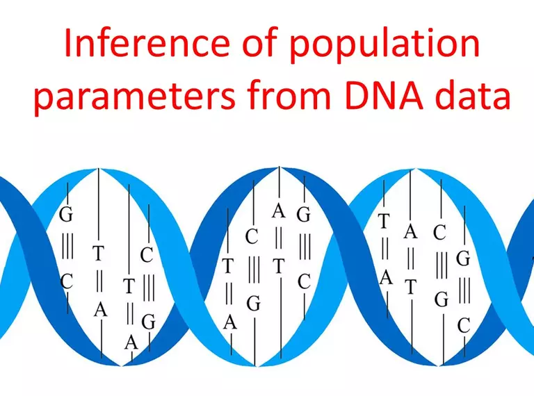 Inference of population parameters from DNA data