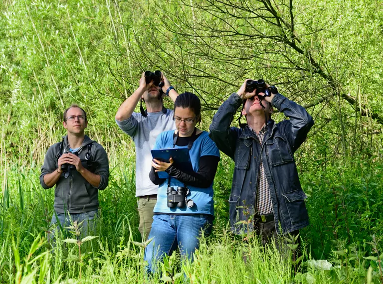 volunteers with binoculars