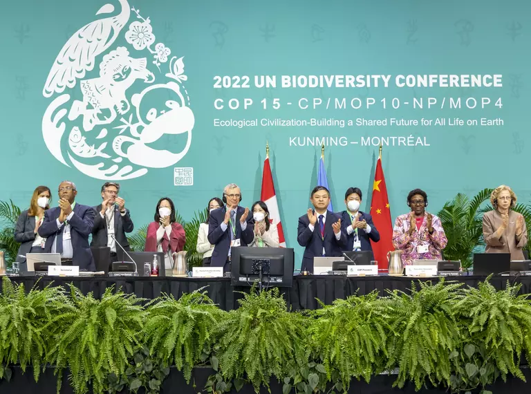 A group of delegates clapping at COP15