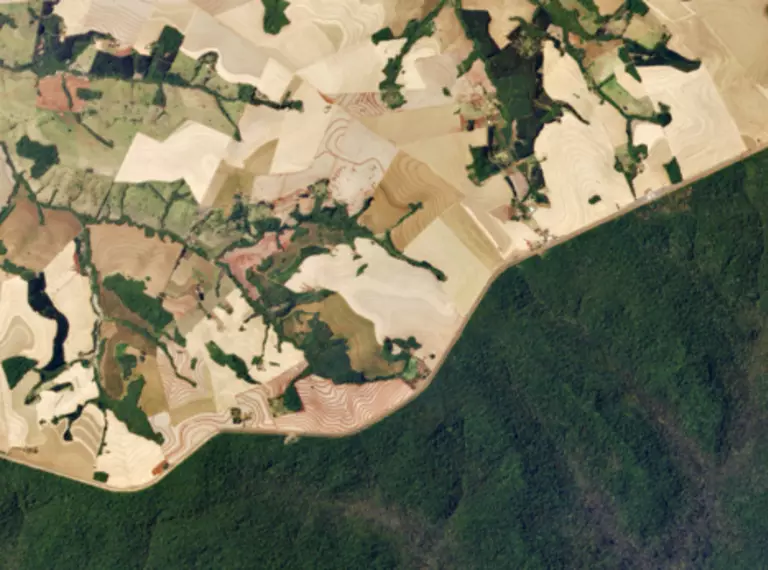Satellite image of protected forest in the Amazon adjacent to converted agricultural land