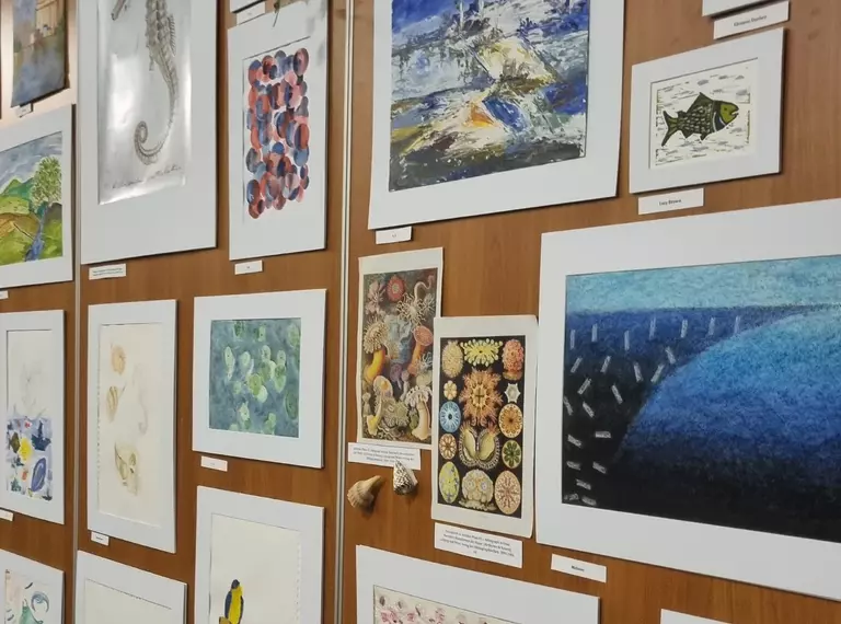 A selection of artwork displayed on a wall