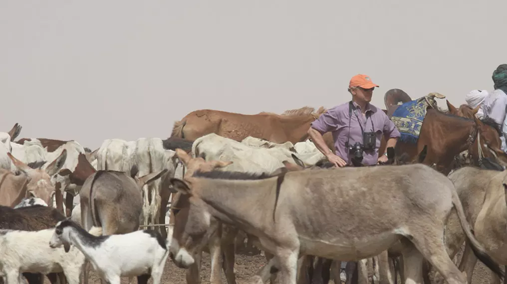 Mark Stanley Price in a field with domestic animals