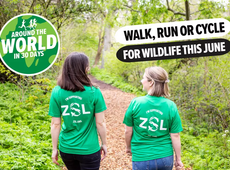 Around the World in 30 Days walking, running and cycling fundraising challenge