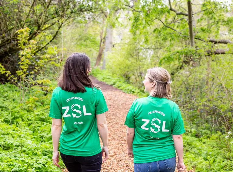 Around the World in 30 Days fundraising challenge - two people walking through woodland wearing ZSL fundraiser t-shirts