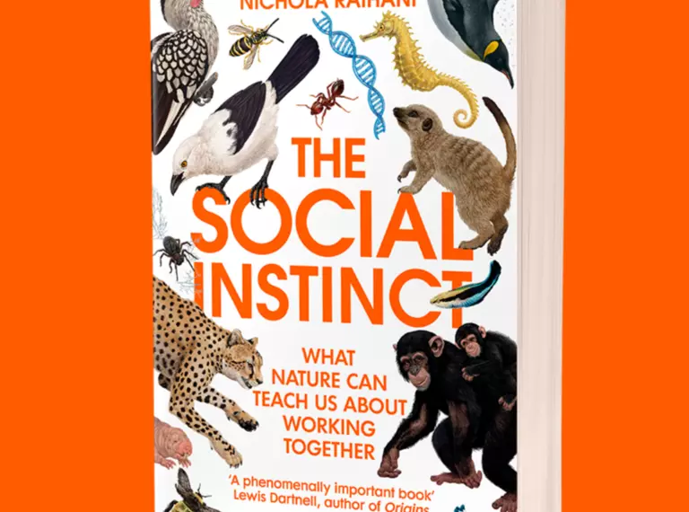 Front cover of The Social Instinct by Professor Nichola Raihani