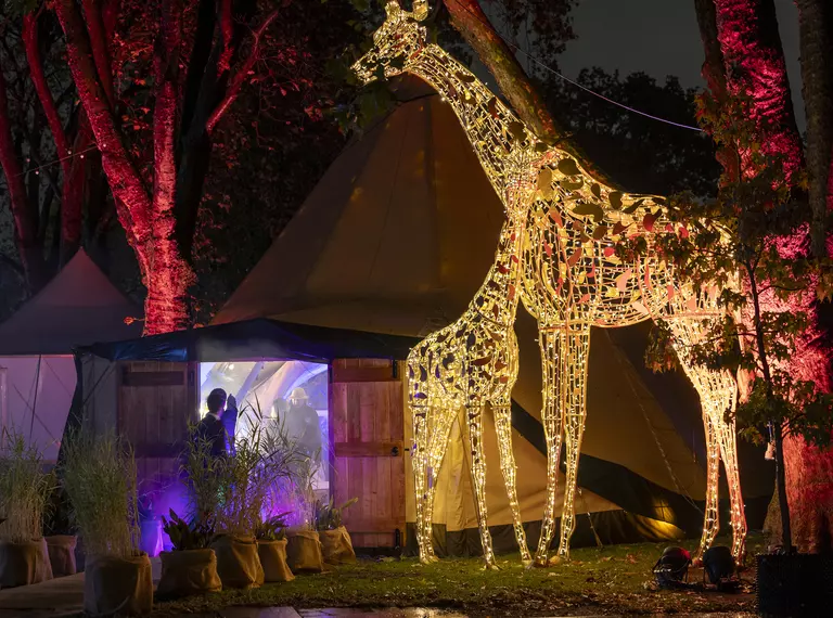 Light-up giraffe statues