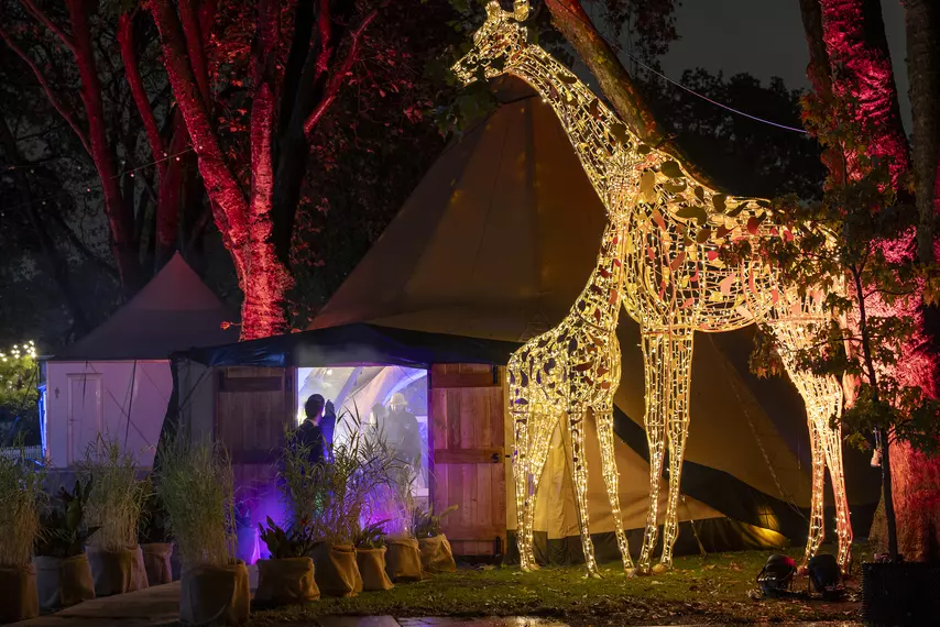 Light-up giraffe statues