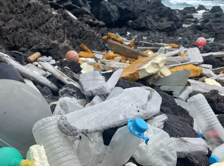 Plastic debris that has washed up on Ascension Island