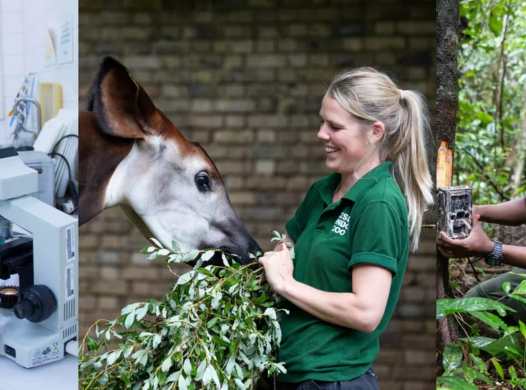 Scientist, Zookeeper and Conservationsist