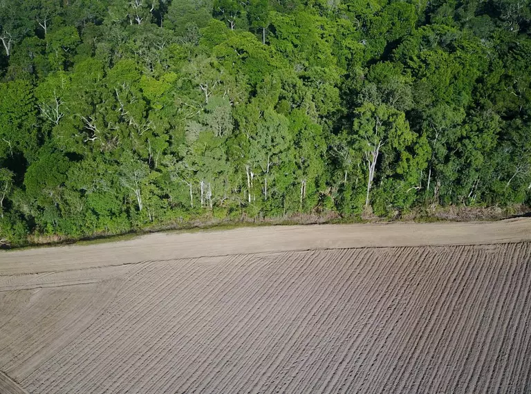 Deforestation to make way for agriculture. Will EUDR reduce deforestation?