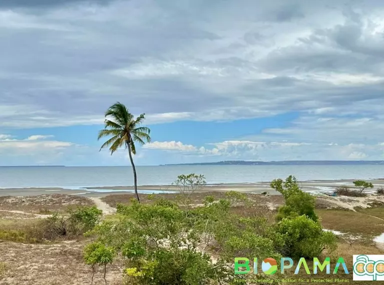 Bandar LMMA watchtower view