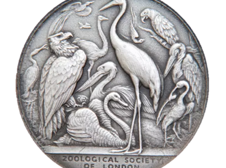 zsl silver medal