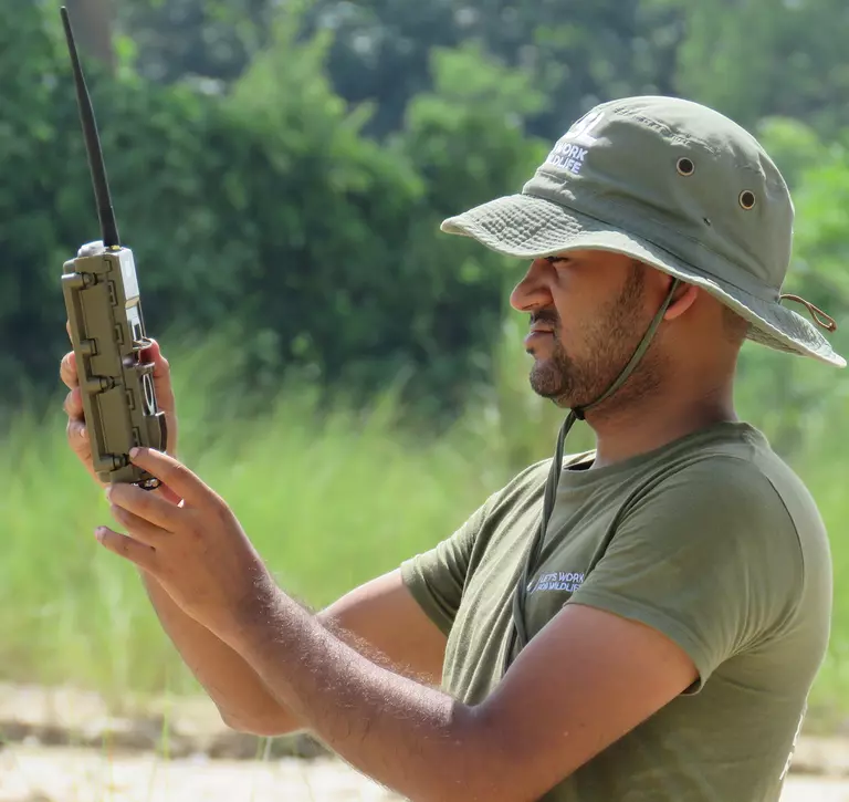 ZSL conservationist in the field holding radio tracker