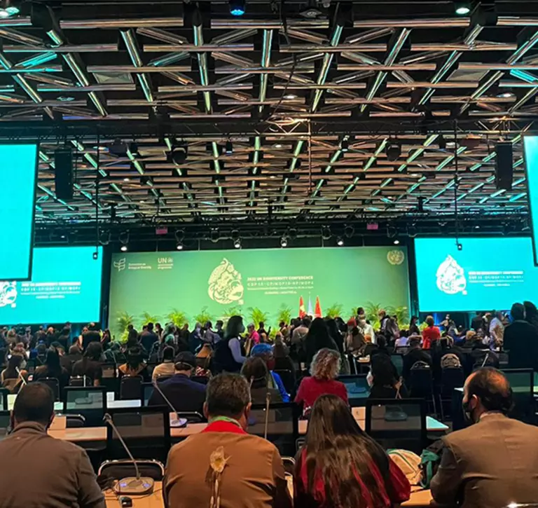 A group of delegates at the COP15 opening ceremony