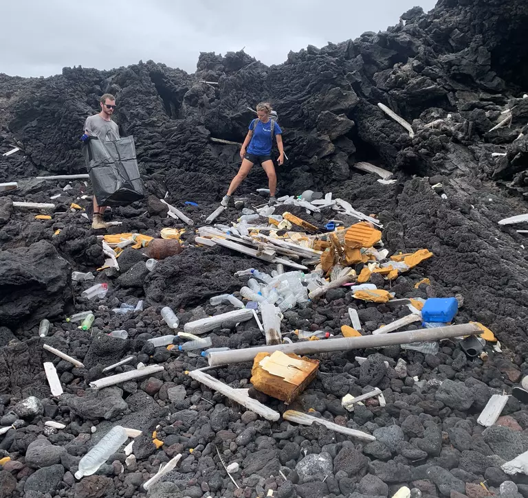 ZSL Team collecting marine debris on beach