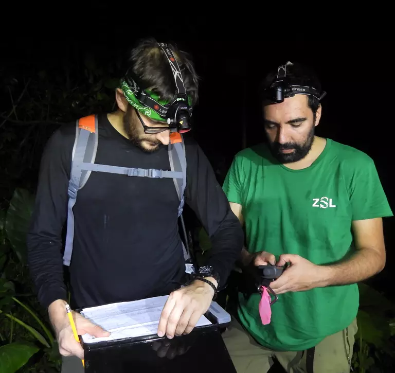 Two conservationists undertaking survey at night