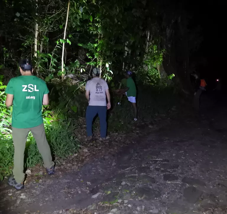 Conservationists undertaking survey at night 