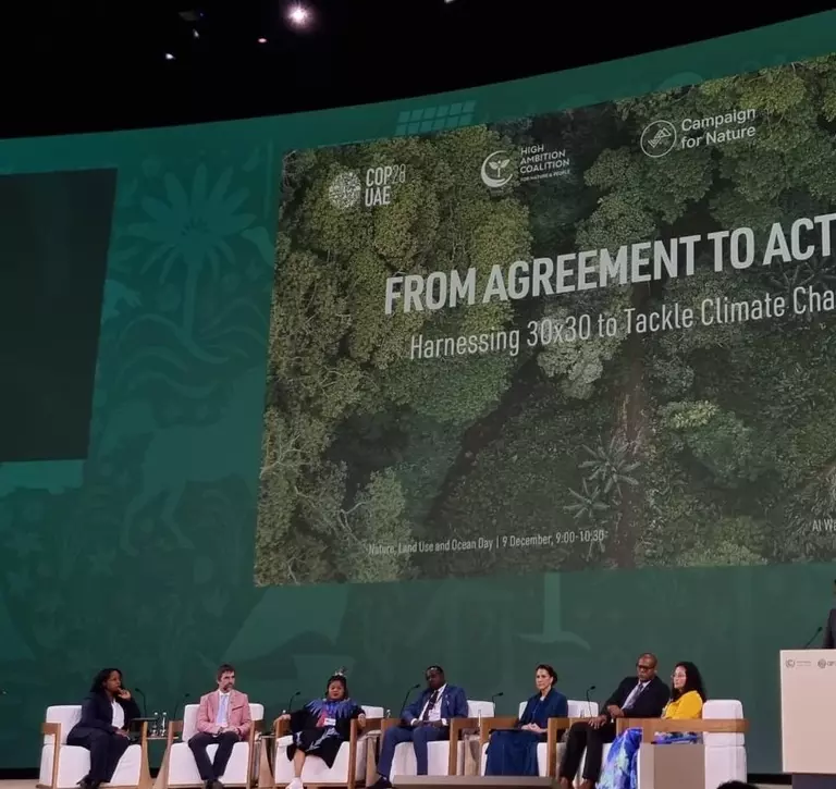 COP28: A Critical Moment For Action On Climate And Biodiversity | The ...