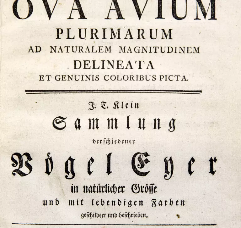 Ova Avium cover - Klein