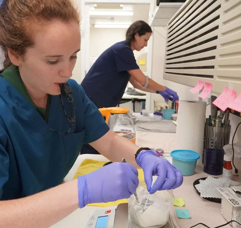 Bird keeper Claire McSweeney from ZSL's Whipsnade Zoo feeding Extinct in the Wild Guam Kingfisher  