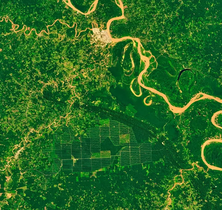 Monitoring deforestation in the Amazon rainforest