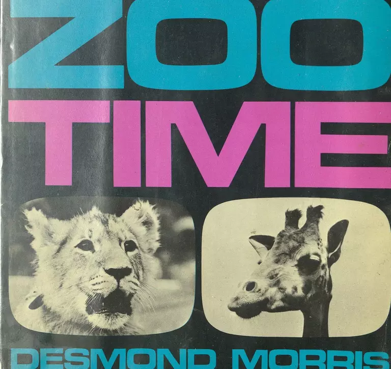 Zoo Time front cover