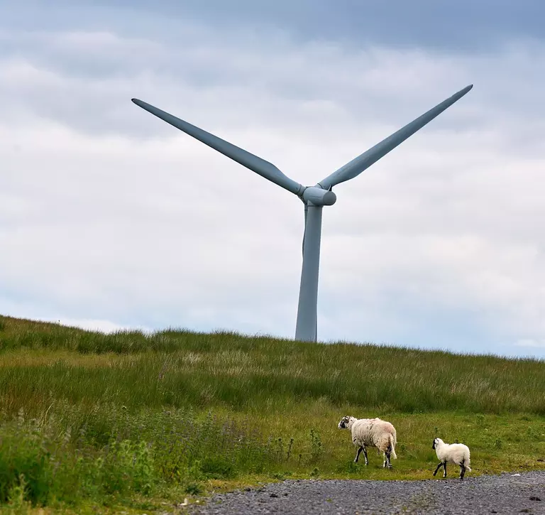 Windfarm and sheep in UK