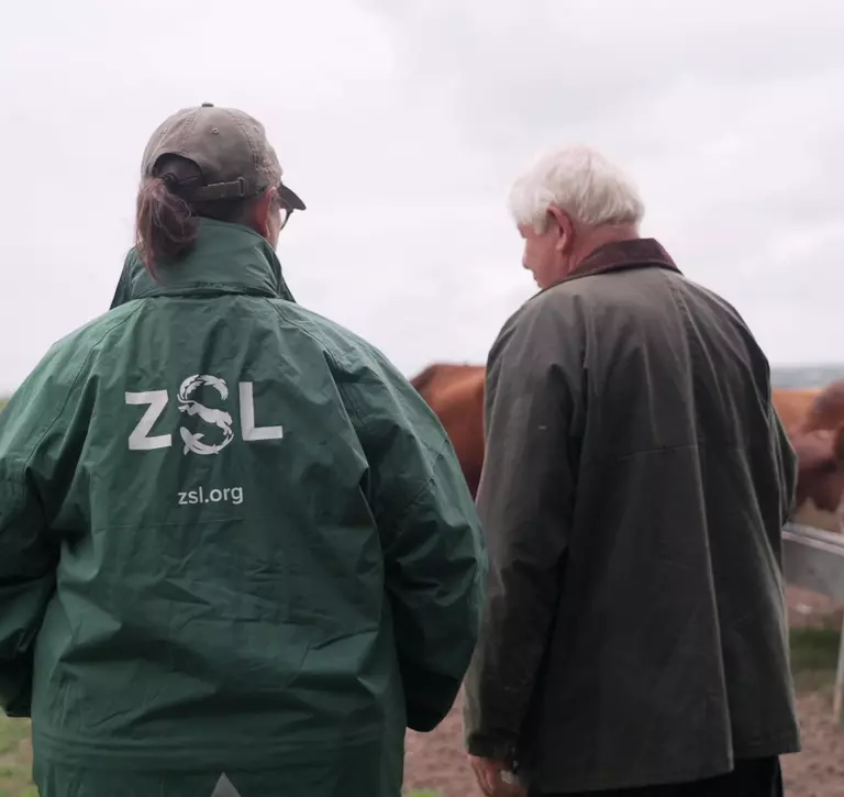 Professor Rosie Woodroffe and farmer Martin Howlett, who are both involved in the farmer-led badger vaccination projec