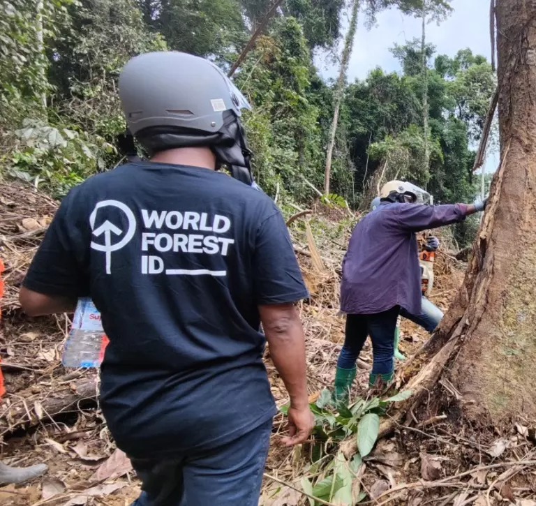 ZSL partners with World Forest ID to conduct timber sampling in Cameroon to build a reference library for timber origin testing